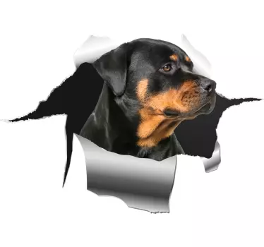 Rottweiller lyuk matrica kisállat matricák - TenStickers