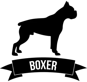 Boxer kutya fal matrica - TenStickers