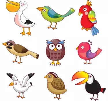 Madárfajta falmatricák - TenStickers