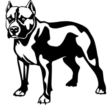 Pitbull kutya matrica - TenStickers