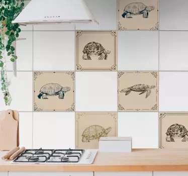 Teknősök bézs háttér csempe matrica - TenStickers