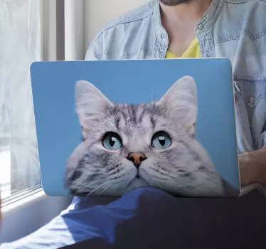 Aranyos macskaarc laptop matrica - TenStickers