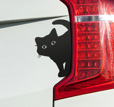 Kíváncsi macska autó matrica - TenStickers