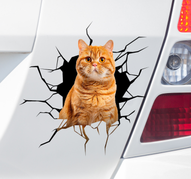 Macska a lyukban autó matrica - TenStickers