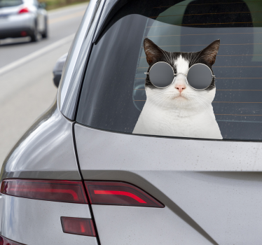 Macska napszemüveggel autó matrica - TenStickers