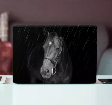 Méltóságteljes ló az esőben laptop matrica - TenStickers