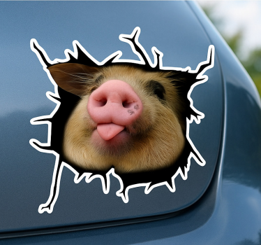 Vicces malac 3d autó matrica - TenStickers