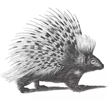Porcupine art fekete-fehér póló - TenStickers