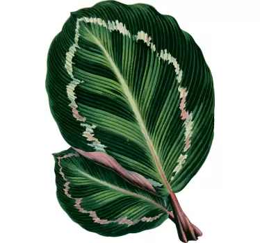 Piros maranta leveles póló - TenStickers