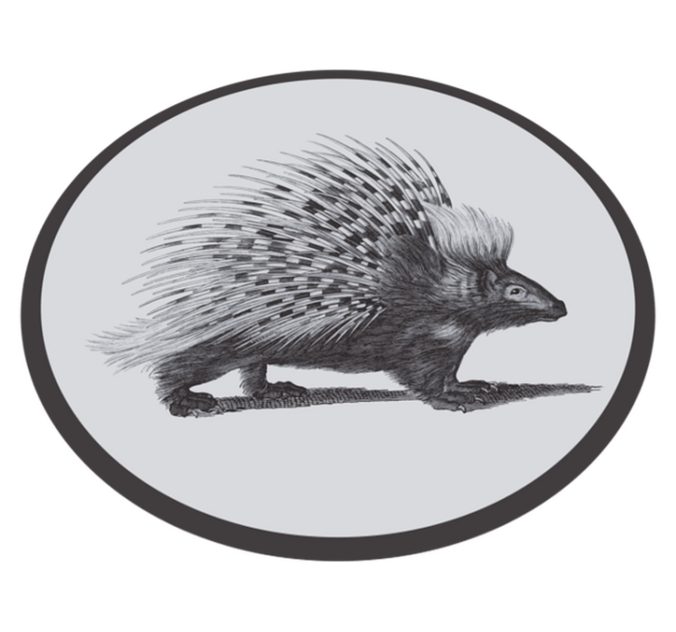 Porcupin illusztráció vinil szőnyeg állat - TenStickers