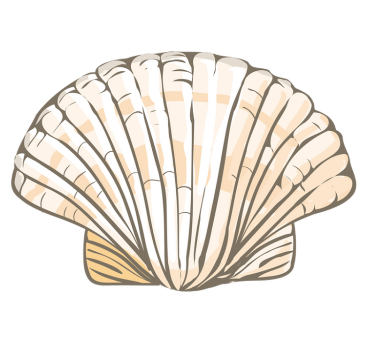 Nagy kagyló alakú bakelit szőnyeg - TenStickers