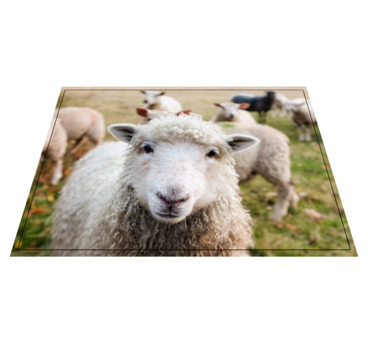 Göndör juharc vinil szőnyeg állat - TenStickers