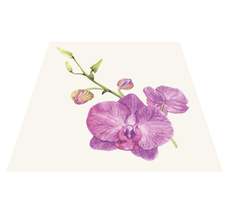 Illusztrált orchidea fehér háttér virágos szőnyeg - TenStickers