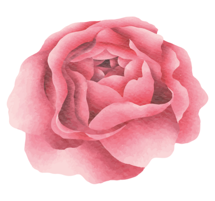 Pír rózsaszín virágzás vinil szőnyeg virágok és növények - TenStickers