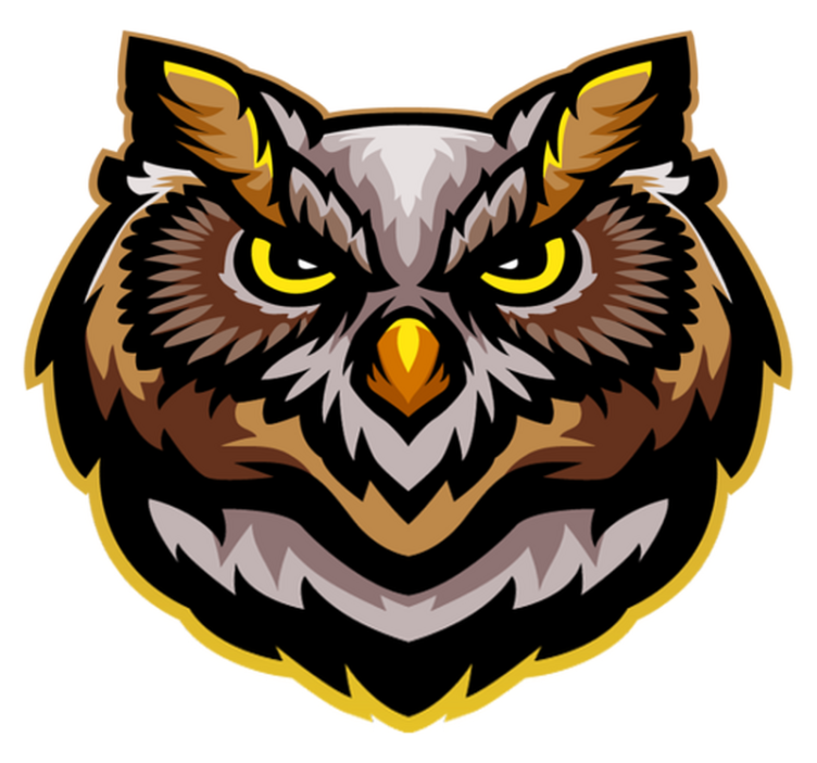 Dühös barna bagoly arc hálószoba szőnyeg - TenStickers