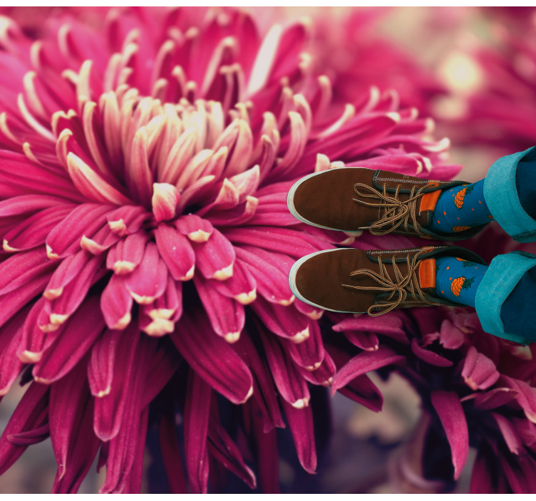 Realisztikus krizantém vinil szőnyeg virágok és növények - TenStickers