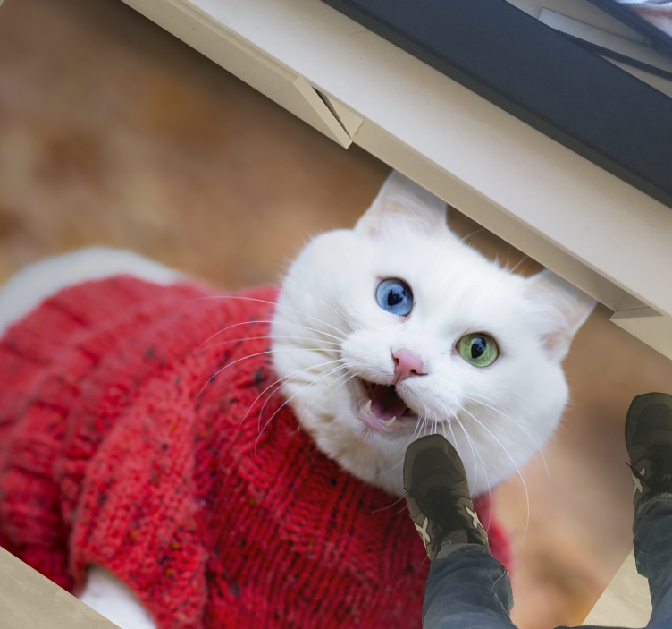 Játékos macskás pulóver vinil szőnyeg állat - TenStickers