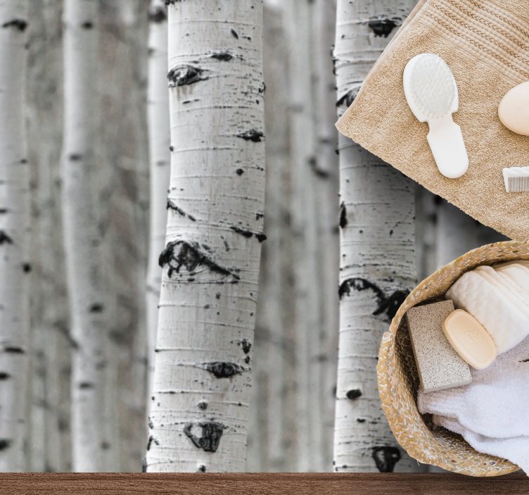 Nyírfa erdő vinil szőnyeg természet - TenStickers