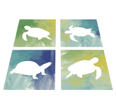 Színes teknős csomag csempe vinil szőnyeg állat - TenStickers