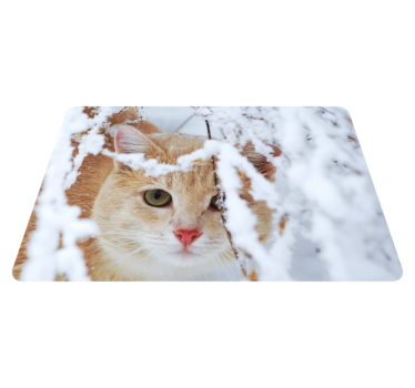 Cica laptop matricával és vinil szőnyeg állat - TenStickers
