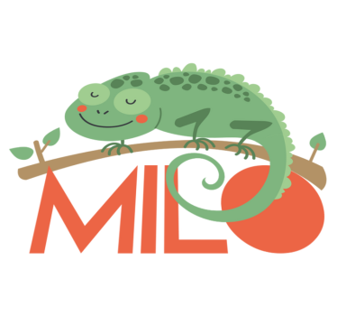 Névvel ellátott kaméleon vinil szőnyeg állat - TenStickers