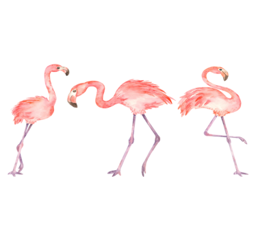 Elegáns flamingó trió vinil szőnyeg állat - TenStickers