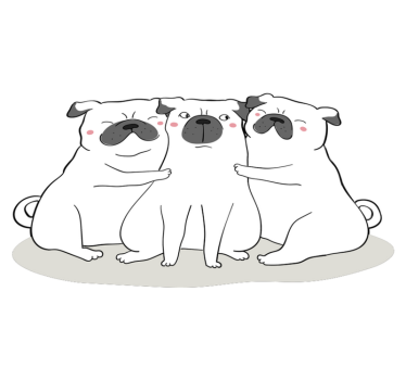 3 barátságos mopsz állati vinilszőnyeg - TenStickers