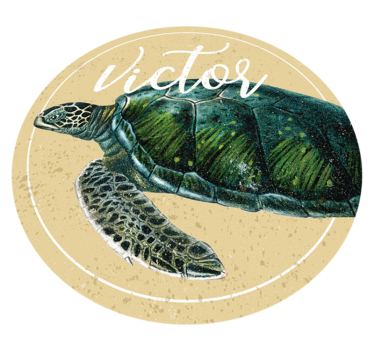 Tengeri teknős névre szabott vinilszőnyeggel - TenStickers