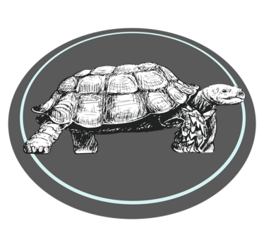 Zöld és barna teknős illusztráció állati szőnyeg - TenStickers