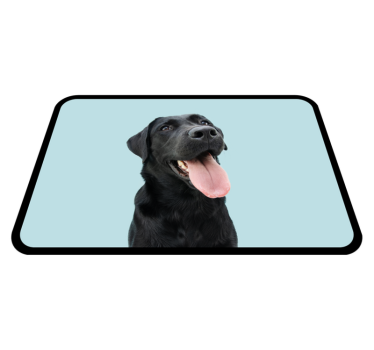 Fekete labrador kutya vinil szőnyeg állat - TenStickers