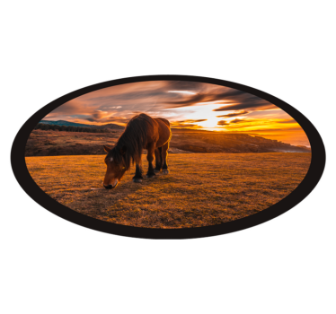 Naplemente ló állat szőnyeg - TenStickers
