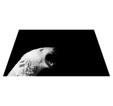 Visító medve állatszőnyeg - TenStickers