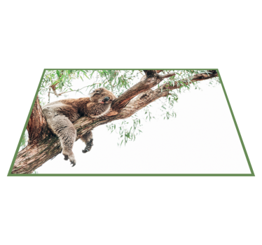 Koala fa jelenet vinil szőnyeg állat - TenStickers