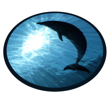 Delfin fröccsen fel vinil szőnyeg állat - TenStickers