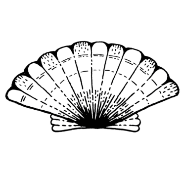 Kagyló állati szőnyeg - TenStickers