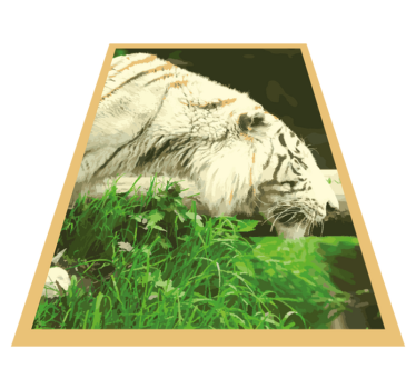 Fehér tigris állati vinil mat - TenStickers