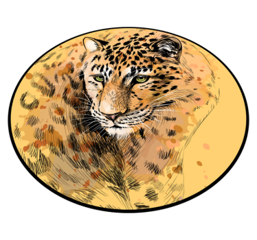 Leopárd arc vinil szőnyeg állat - TenStickers
