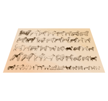 Kutya méretek állati vinyl mat - TenStickers
