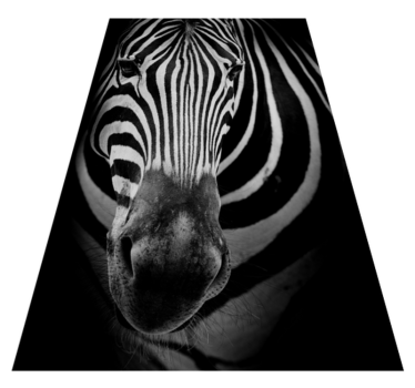 Zebra csíkos nyomtatás vinil szőnyeg állat - TenStickers