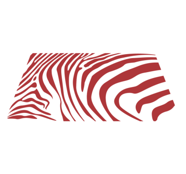 Vörös zebra csíkok állati nyomtatott szőnyeg - TenStickers