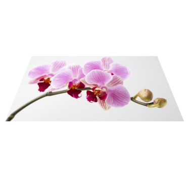 Rózsaszín orchidea minta vinil szőnyeg virágok és növények - TenStickers