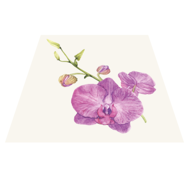 Illusztrált orchidea fehér háttér virágszőnyeg - TenStickers
