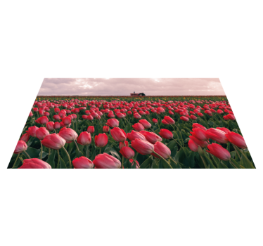 élénk tulipánmező vinil szőnyeg természet - TenStickers