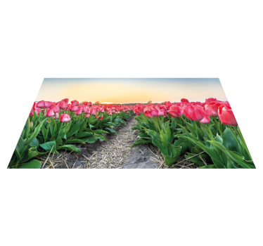 Rózsaszín zöld tulipán mező virág vinyl szőnyeg - TenStickers