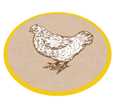 Csirke illusztráció vinil szőnyeg állat - TenStickers