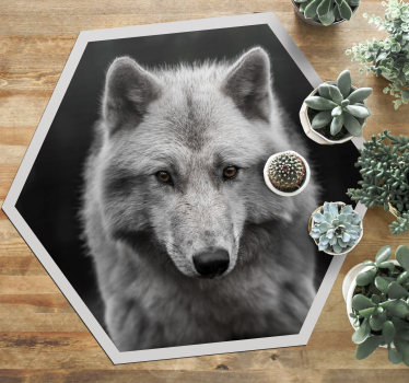 Alfa farkas fekete állati szőnyegen - TenStickers