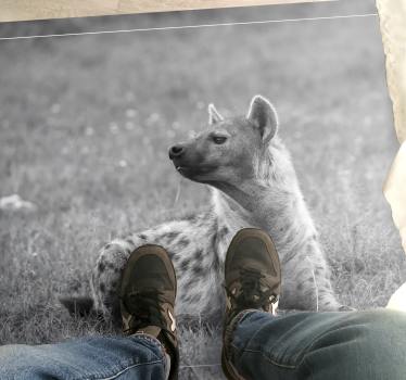 állat aranyos hiéna állati vinil szőnyeg - TenStickers