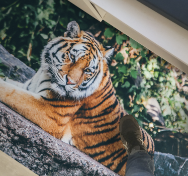 állati fenséges tigris vinil szőnyeg - TenStickers