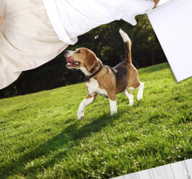 Boldog beagle fut vinil szőnyeg állat - TenStickers