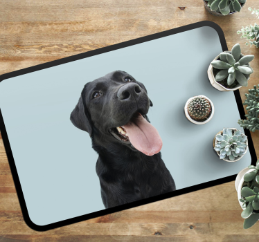 Fekete labrador kutya vinil szőnyeg állat - TenStickers